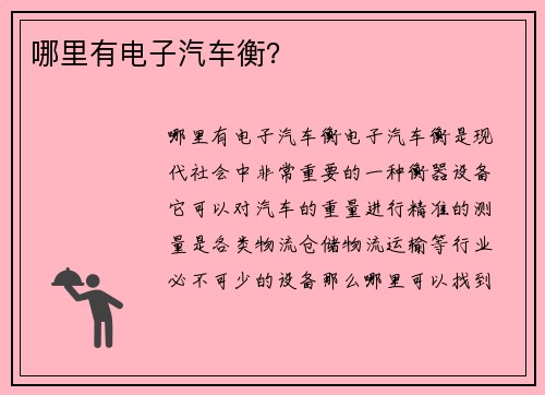 哪里有电子汽车衡？